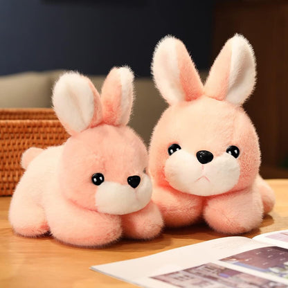 عيون دمى بعدة احجام Safety Eyes for Crochet Toys