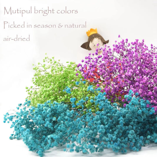 ضمة ورد مجفف ثلج Bouquet Dried-Flowers