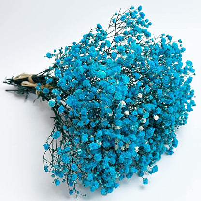 Bouquet of dried roses