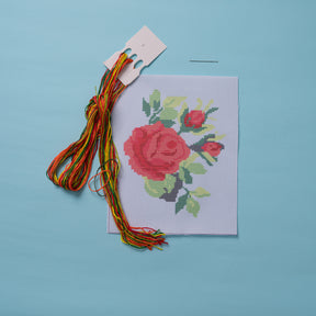 Embroidery pieces with shawls