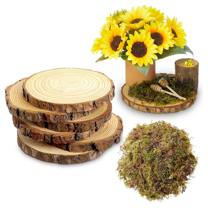 قرمية خشب (شجر صنوبر ) Wood Slices for Centerpieces