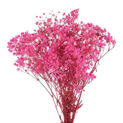 Bouquet of dried roses